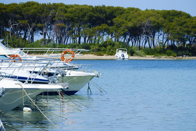 Boats moored in sea against sky