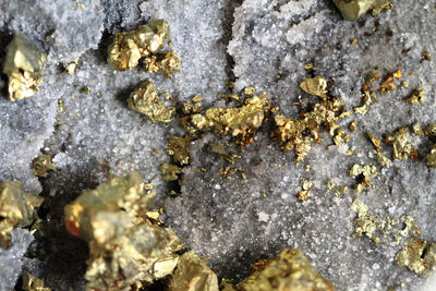 Full frame shot of lichen on rock