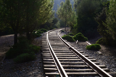 Railroad tracks amidst trees in forest