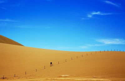 Scenic view of desert against blue sky