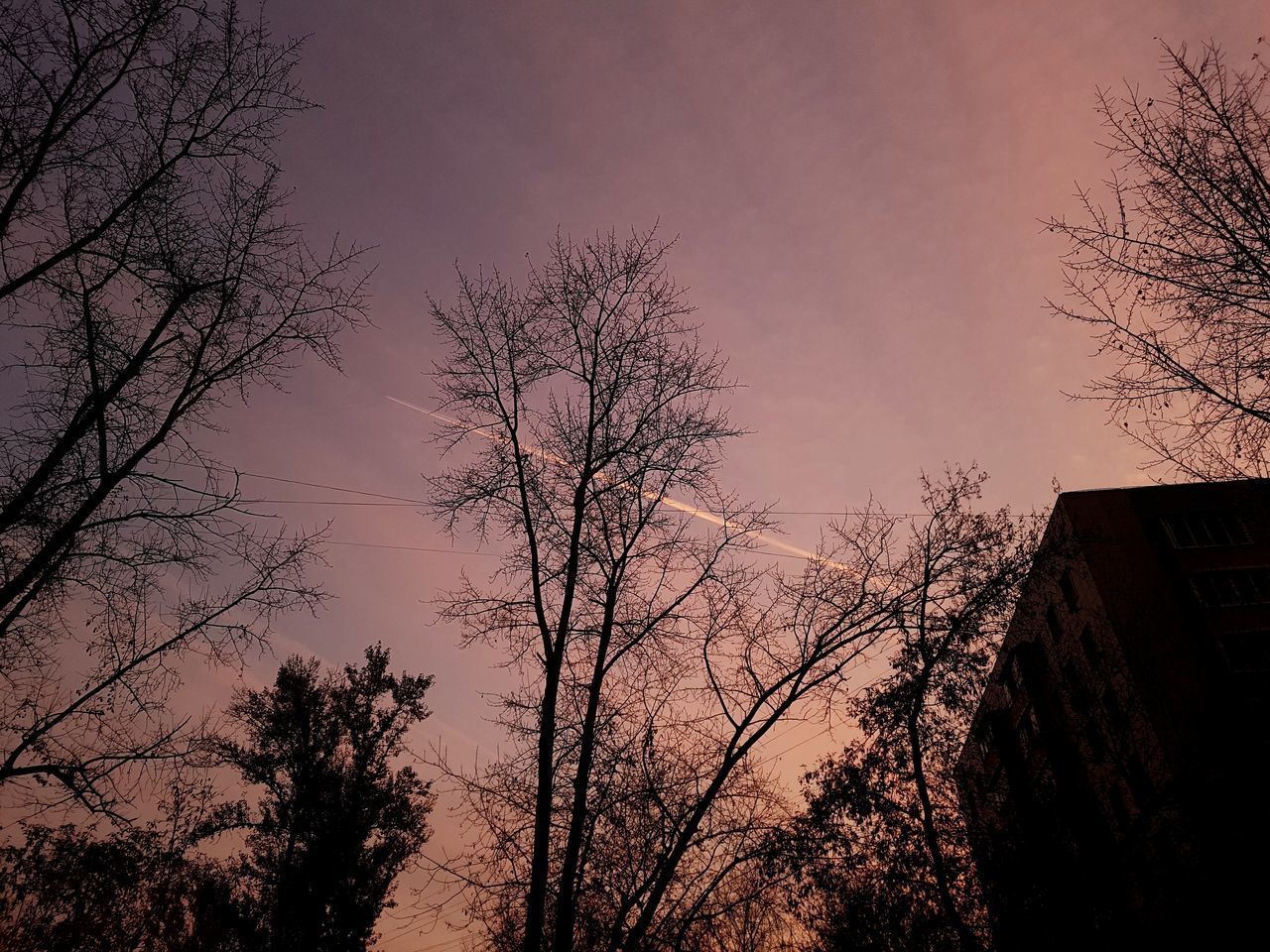 LOW ANGLE VIEW OF BARE TREES AGAINST SKY AT SUNSET