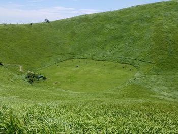 Scenic view of grassy field against sky