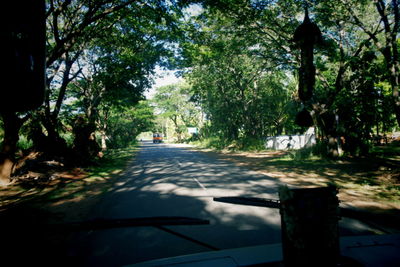 Road passing through forest