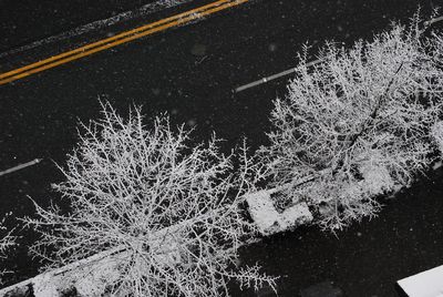 Aerial view of road