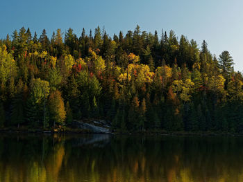 Scenic view of lake by trees against sky