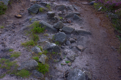 High angle view of rocks on land