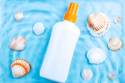 High angle view of shells on table