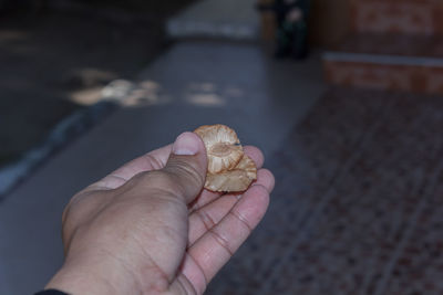 Close-up of hand holding food