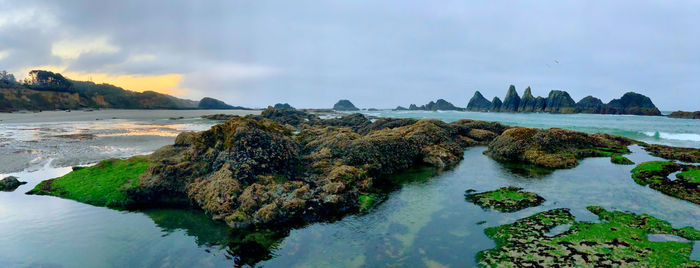 Oregon coast 