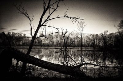 Scenic view of lake by trees against sky