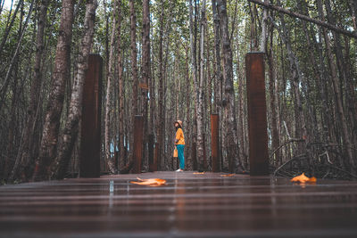 Man standing by trees in forest