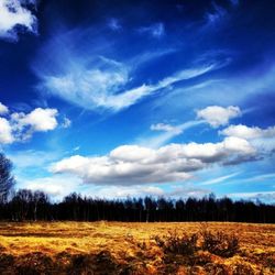 Scenic view of field against cloudy sky