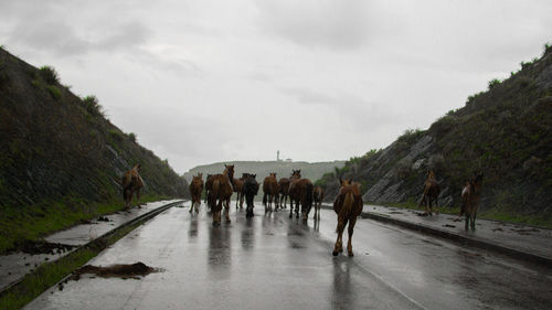 Rear view of people walking on wet road