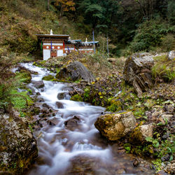 Stream flowing through rocks by trees