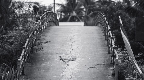 Surface level of footpath in park