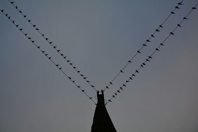 Low angle view of birds flying against clear sky