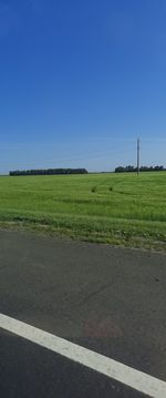 Scenic view of field against clear blue sky