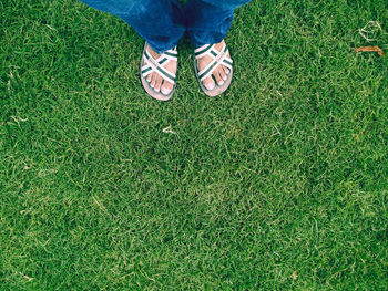 Low section of person standing on grassy field