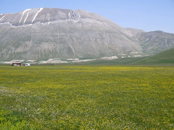 Scenic view of landscape