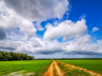 Empty road amidst field against sky