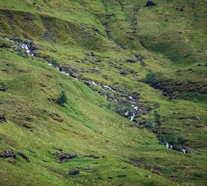 High angle view of stream on landscape