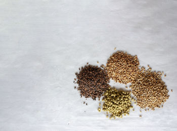 High angle view of dried plant