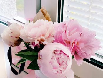 High angle view of pink flower pot at home