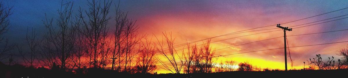 Low angle view of silhouette trees against sky at sunset