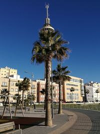 Palm trees by building against clear blue sky