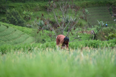 Woman working on farm