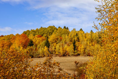Beautiful autumn landscapes in the romanian mountains, fantanele village area, sibiu county, romania