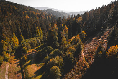 Scenic view of trees against sky during autumn