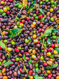 Full frame shot of multi colored candies