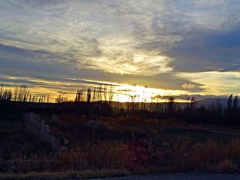 Scenic view of field against sky at sunset