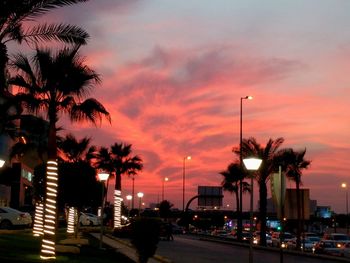 Palm trees against sky at sunset