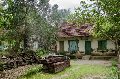 Abandoned house amidst trees and plants in forest