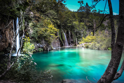 Scenic view of river with trees in background