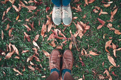 Low section of man standing on grass