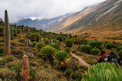 Hikers on landscape against sky