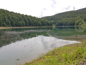 Scenic view of lake against sky