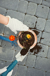 High angle view of person holding umbrella on footpath