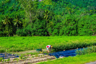 High angle view of woman working in farm