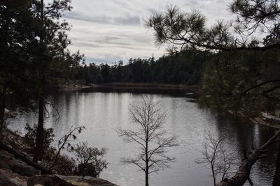 Scenic view of lake in forest against sky