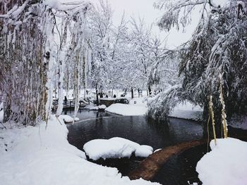 Frozen trees on snow covered landscape