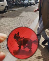 High angle view of people on street in city