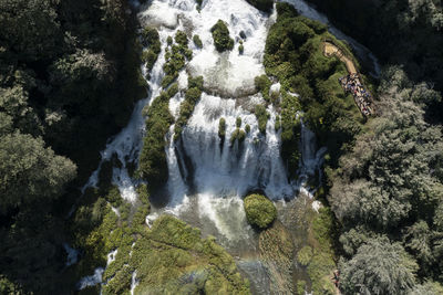 Scenic view of waterfall in forest