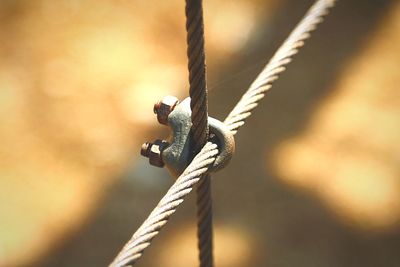 Close-up of rope tied on metal