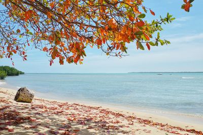 Scenic view of sea against blue sky
