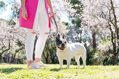 Rear view of dog running on grassy field