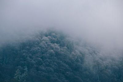 High angle view of snow covered landscape in foggy weather